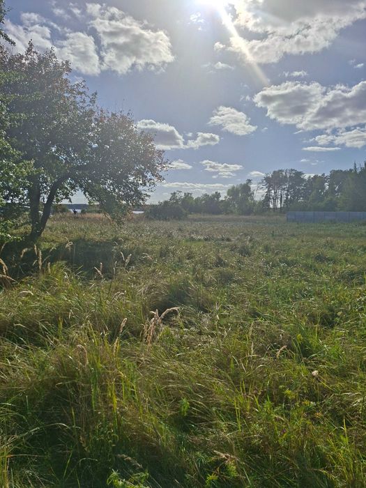 Продам земельну ділянку с.Толокунь