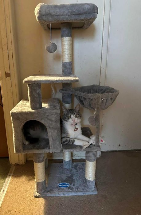 Drapak dla kota z zabawką, wieża dla kotów , domek dla kota, NOWY