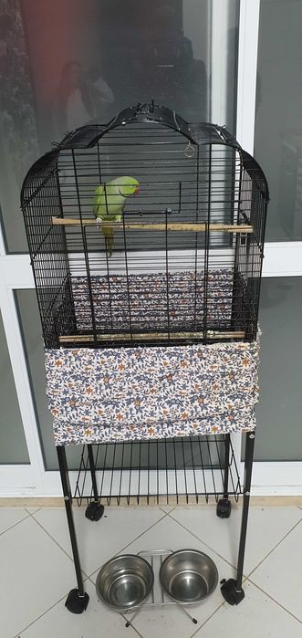 Vendo ring nek mais gaiola