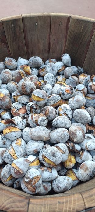 Castanhas assadas magusto