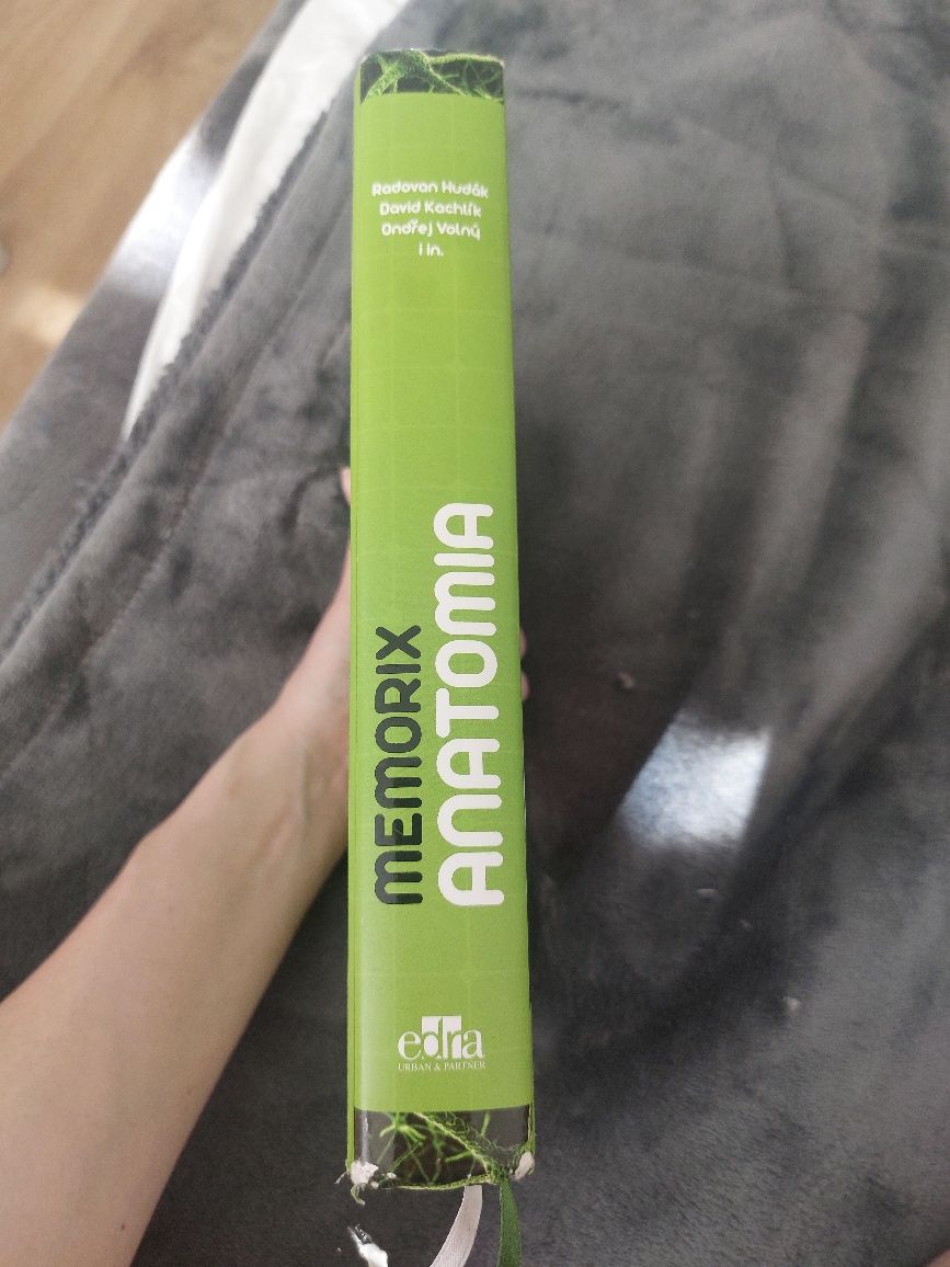 Memorix anatomia