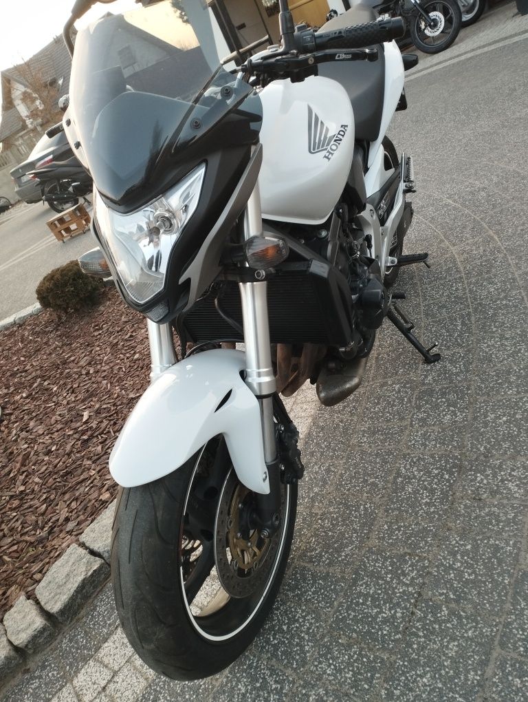 Honda CB 600F Hornet pc41