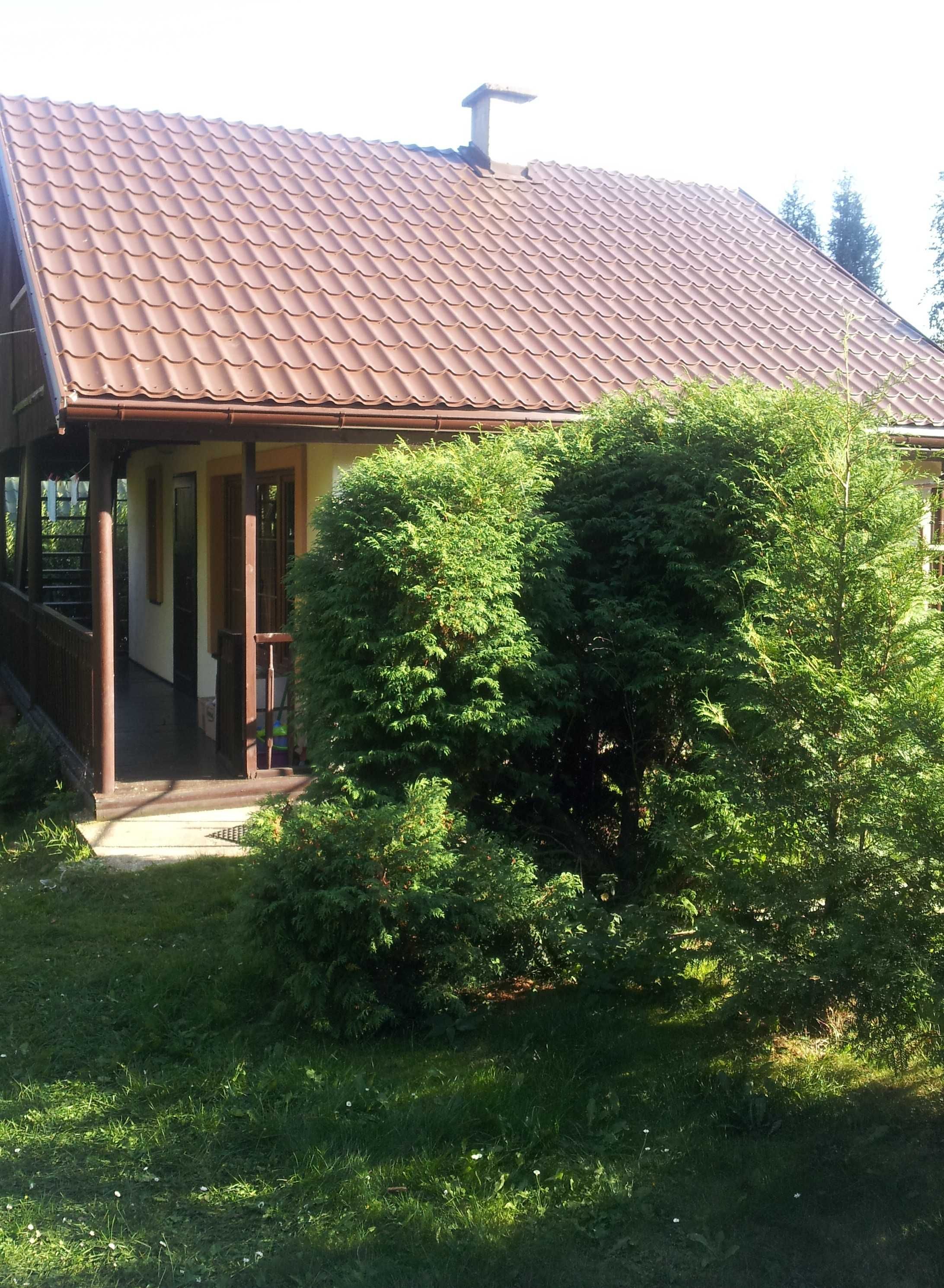 Domek letniskowy na półwyspie Kobylocha -jezioro Sasek Wlk  k/Szczytna