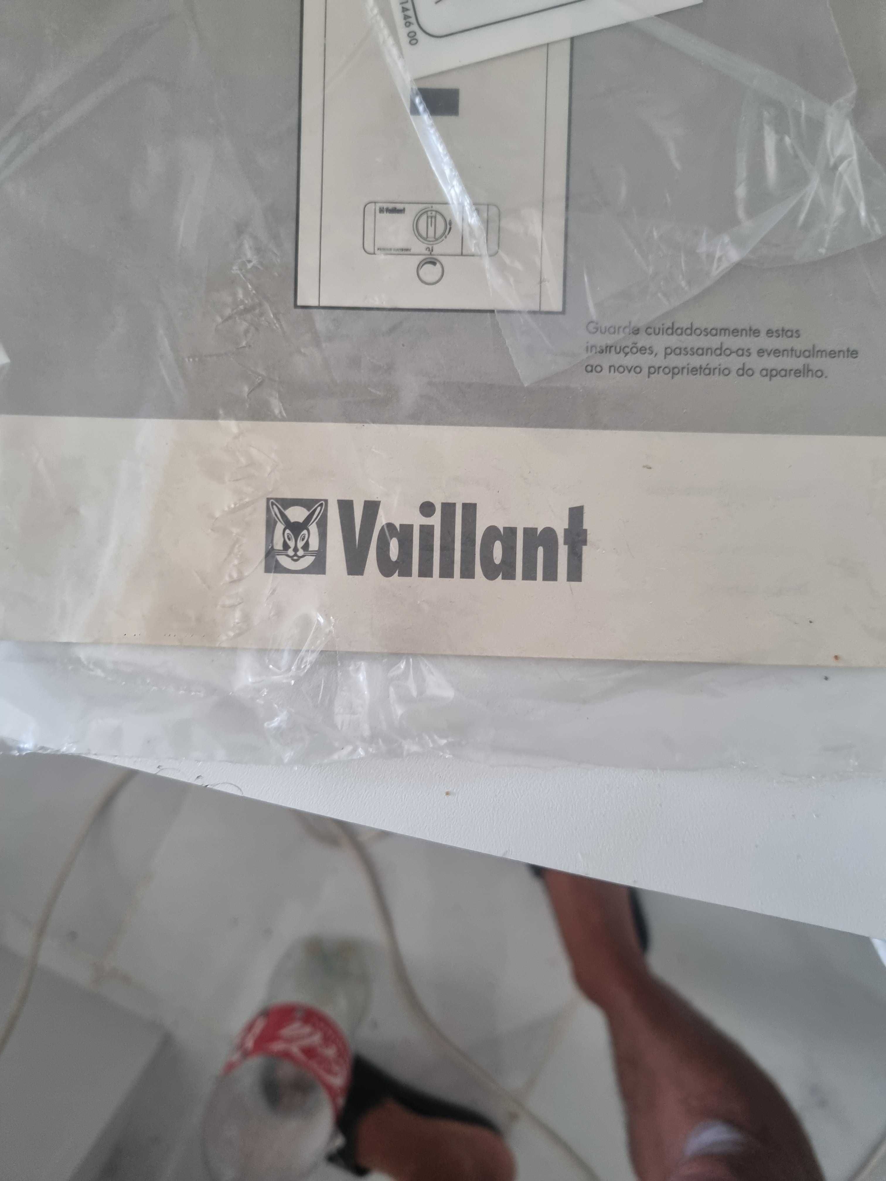 Esquentador Vaillant para Arranjo ou peças parado muito tempo