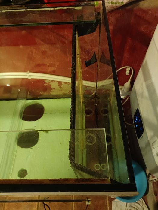 Aquário 550l + sump 200
