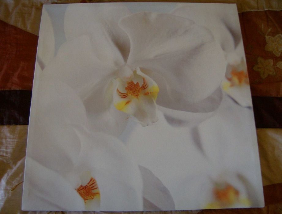 Conjunto de 3 Quadros de Parede