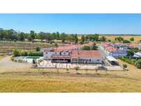 Excelente Quinta em Beja a venda 595.000