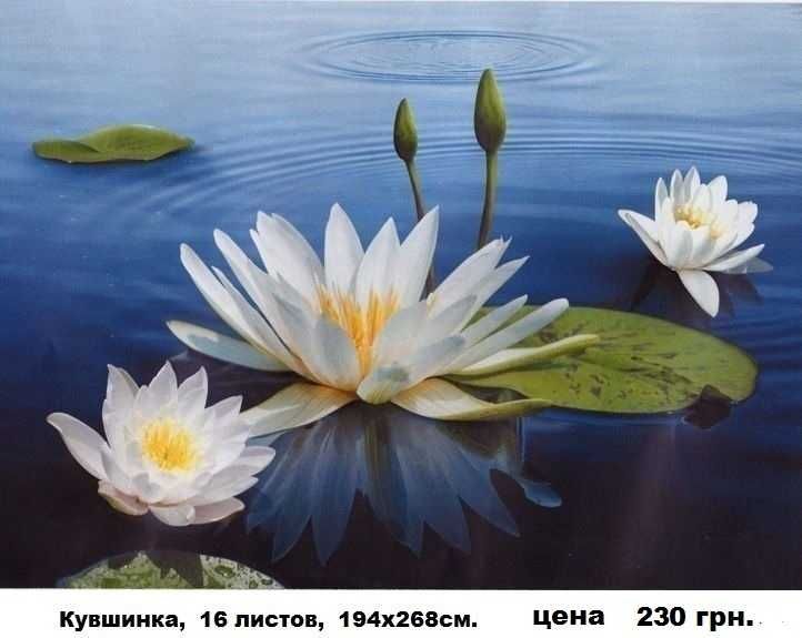 Фотообои по низким ценам! Обои. Фотошпалери.