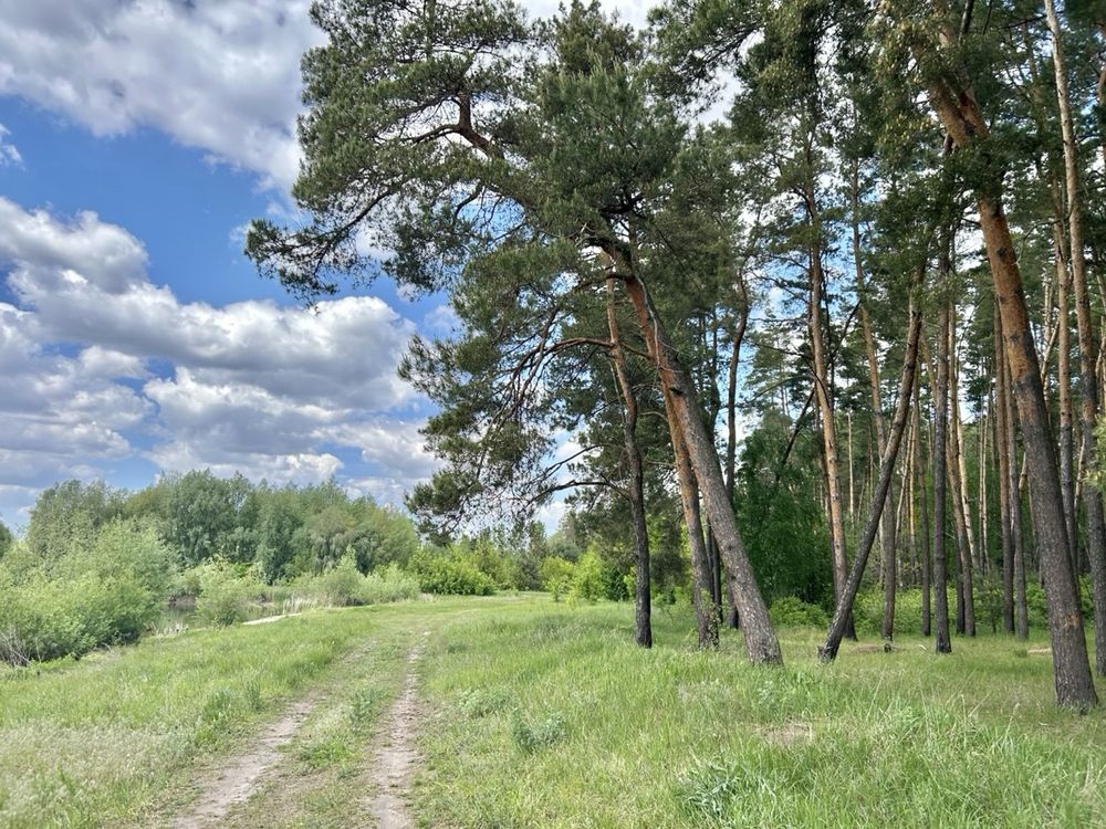 Земельна  ділянка з озером! 1,25 га. Мотижин.
