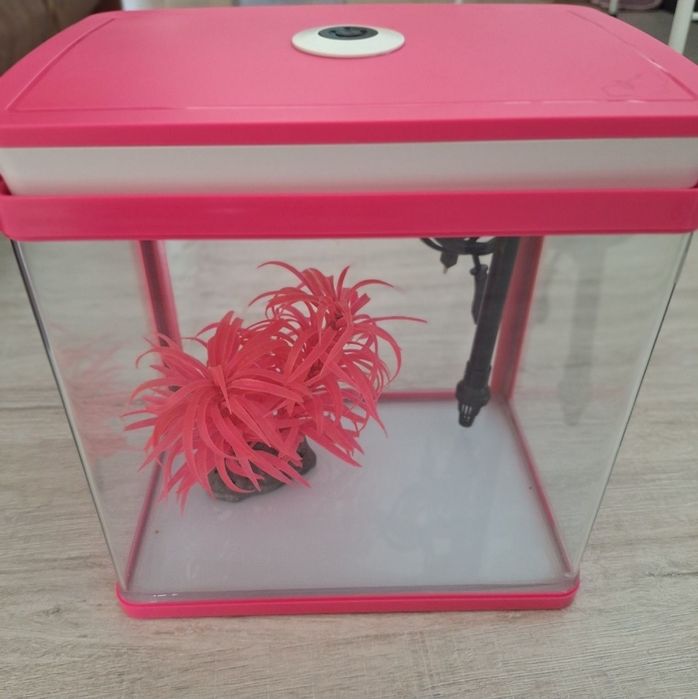 Małe terrarium różowe