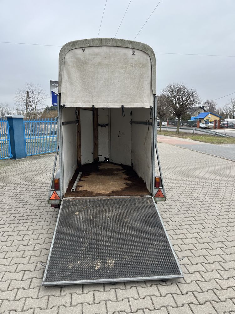 Przyczepa Do 1.5 Konia Bukmanka Zywca DMC 1300KG Bez E-Toll Kat "B"