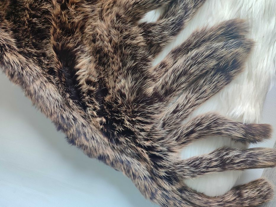 Yves Salomon меховая накидка шаль пончо