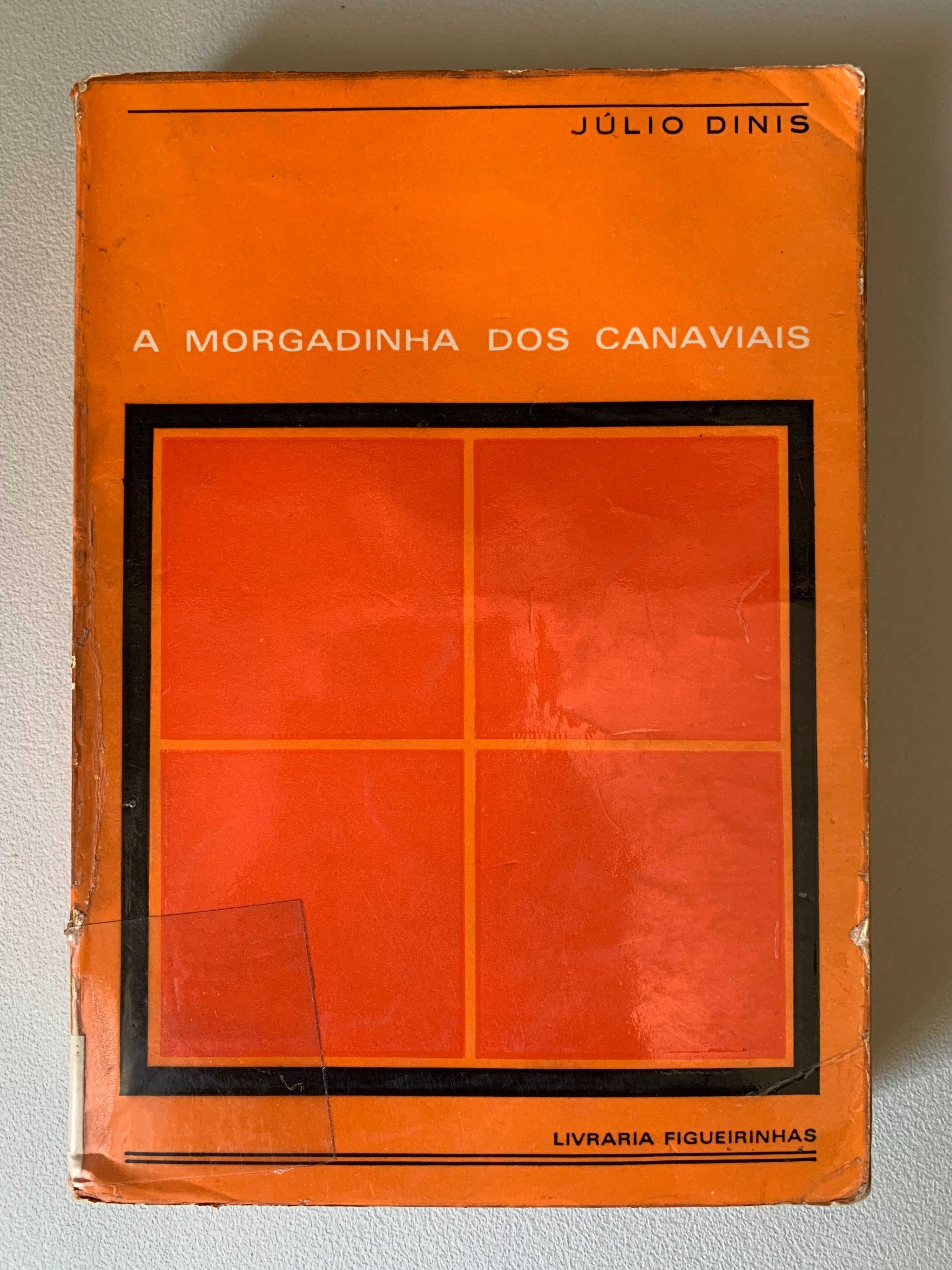 A Morgadinha dos Canaviais, de Júlio Dinis