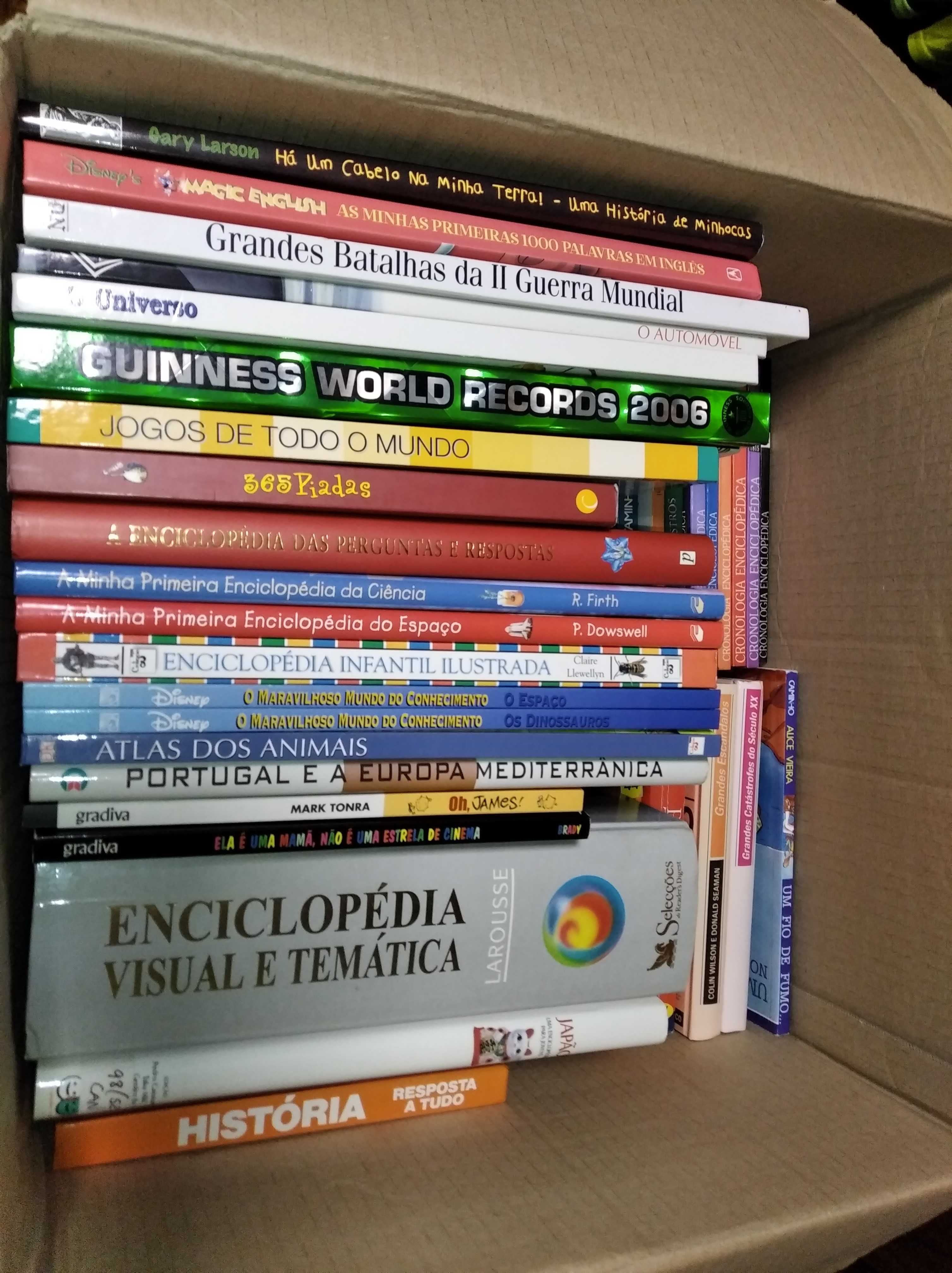 Vários Livros, Dicionários e Enciclopédia Visual e Temática Larousse