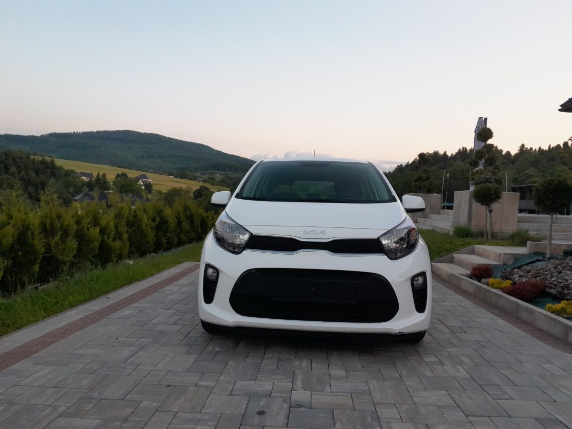 Kia Picanto 2022 rok