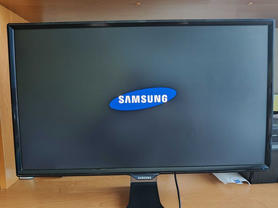 Monitor z funkcją TV Samsung T 24E390EW