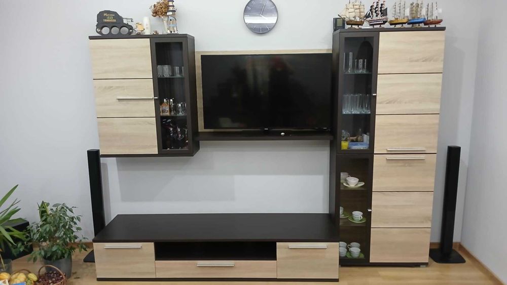 Mebloscianka do salonu