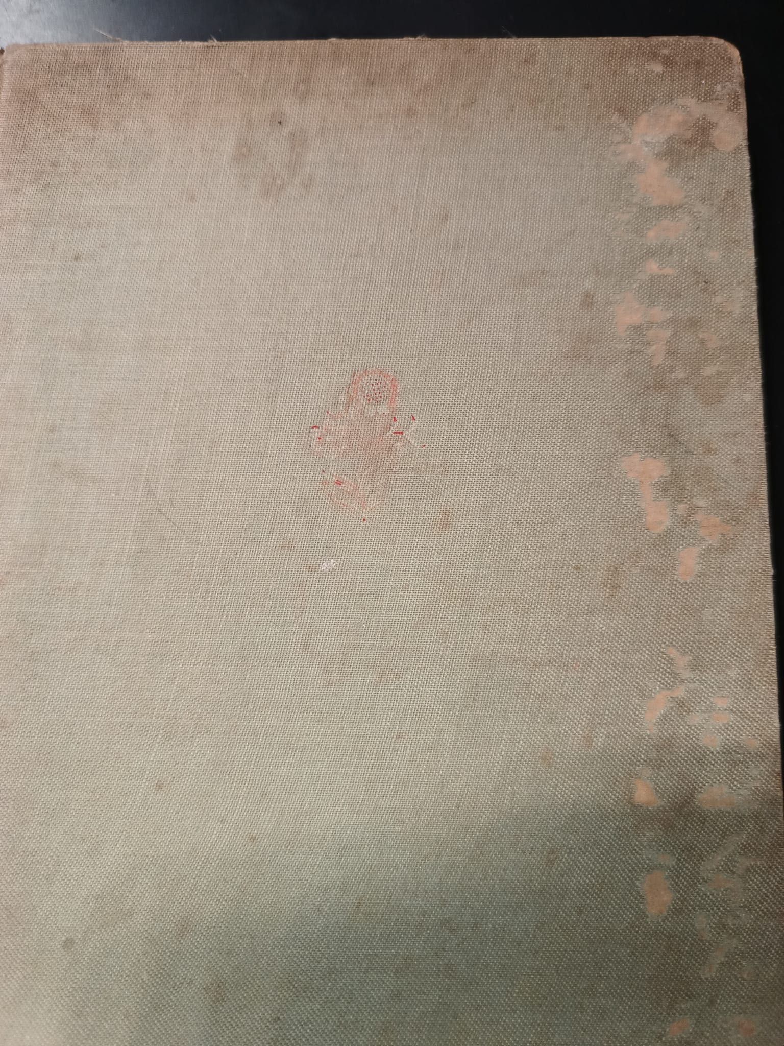 Maryla Wolska Dzbanek malin Biblioteka medycka 1929