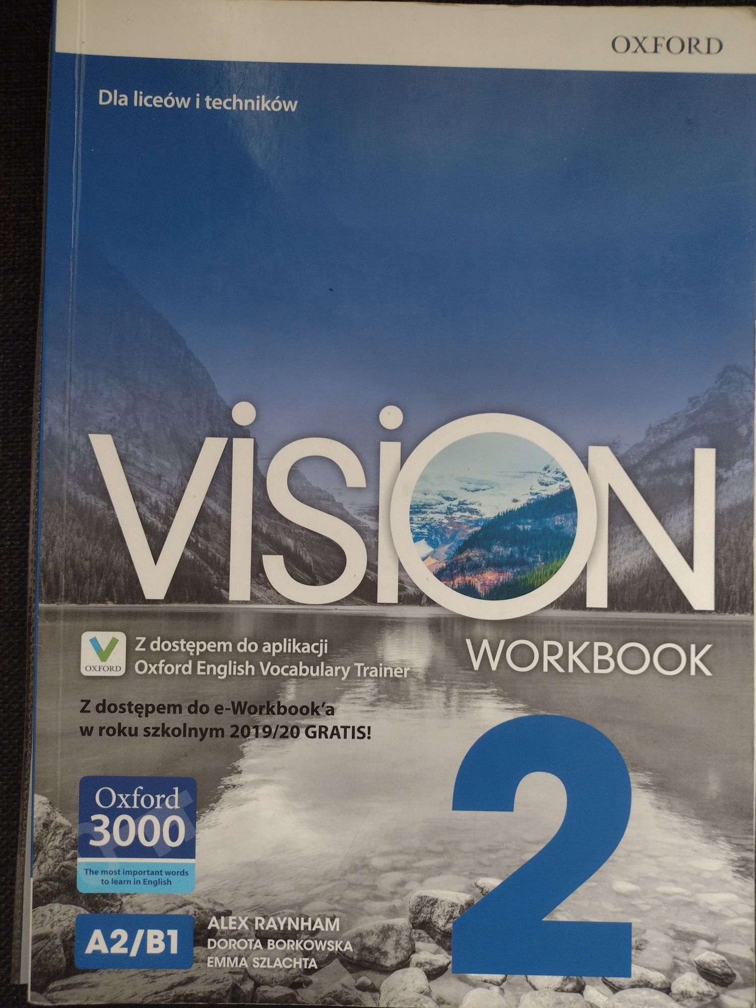 vision workbook 2