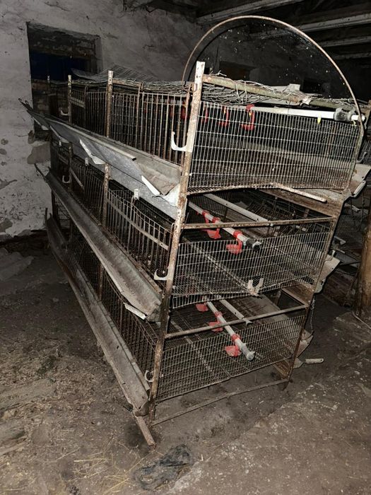 Клітки для курчат