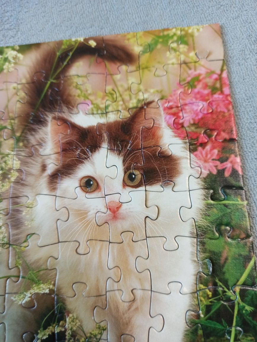 Puzzle Trefl Kot