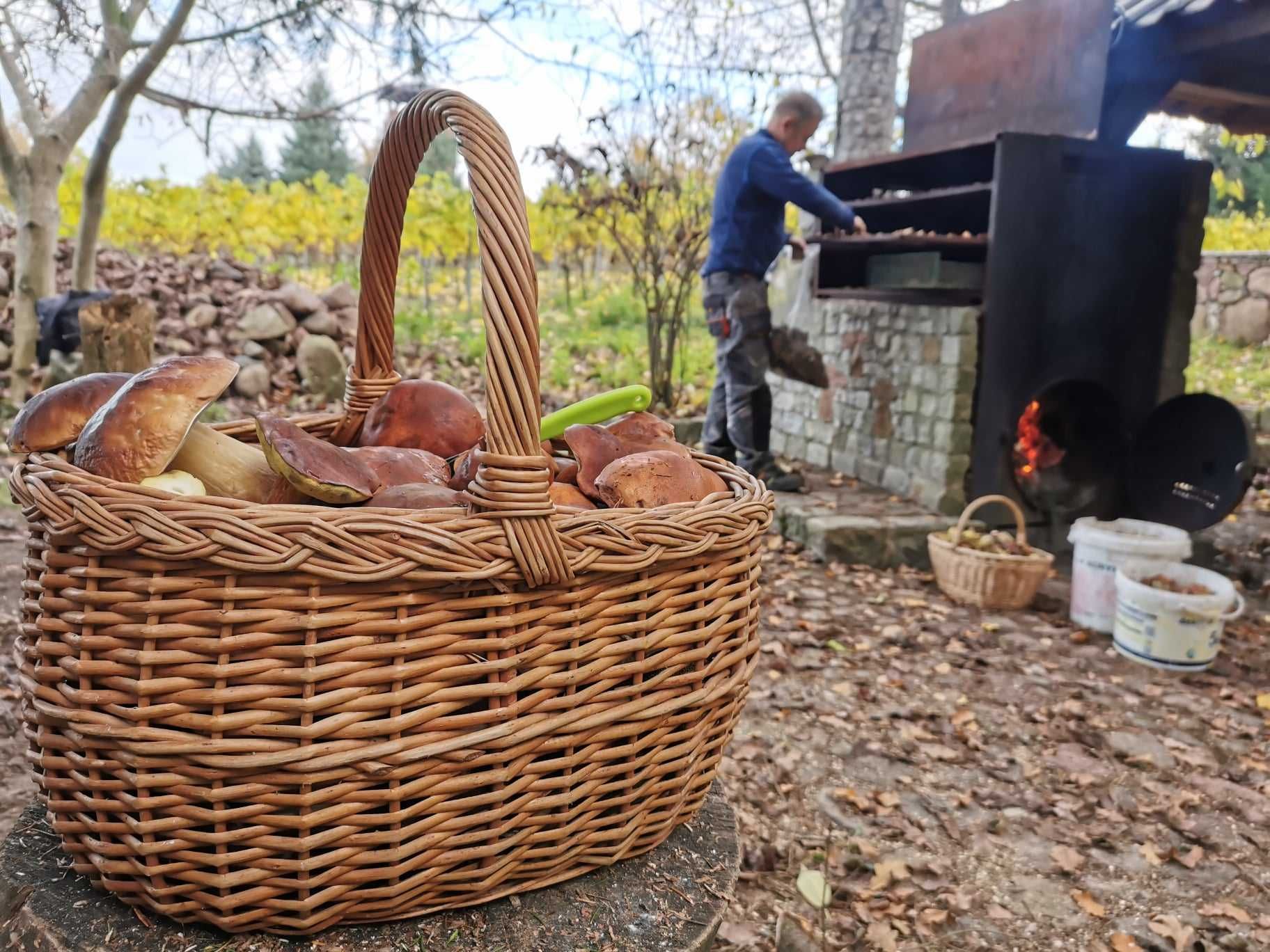 Winnica Pod Wieżą agroturystyka enoturystyka