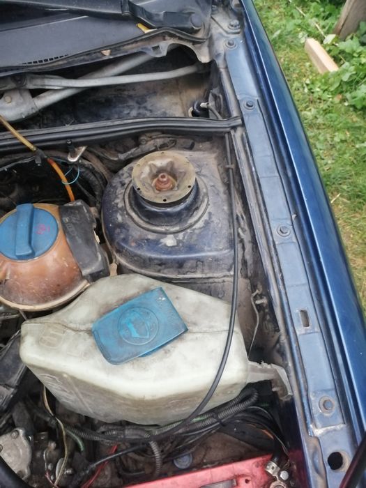 Volkswagen з подарунком