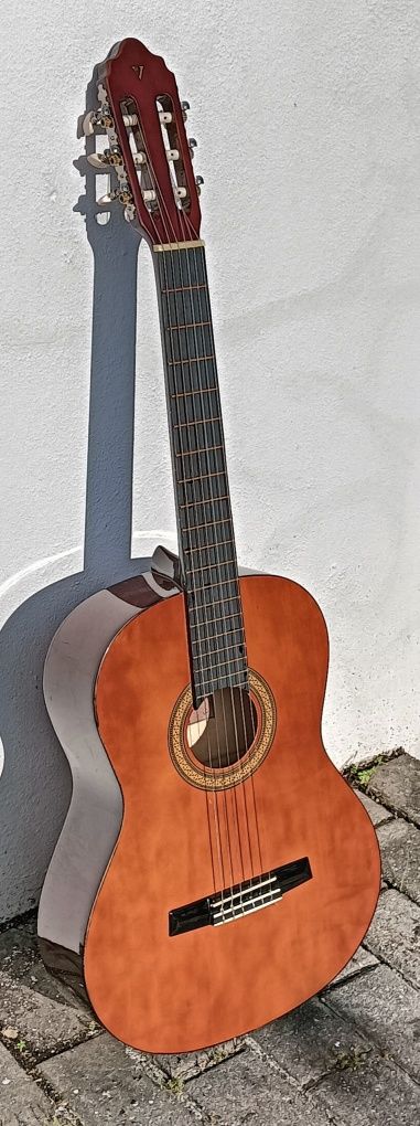 Viola  clássica .