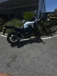 Honda NX  500 2024