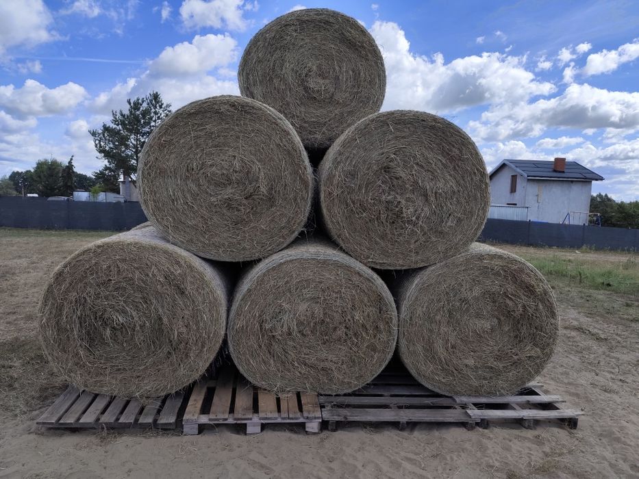 Siano bele ładne łaki prasowane prasą pąsowa możliwość transportu