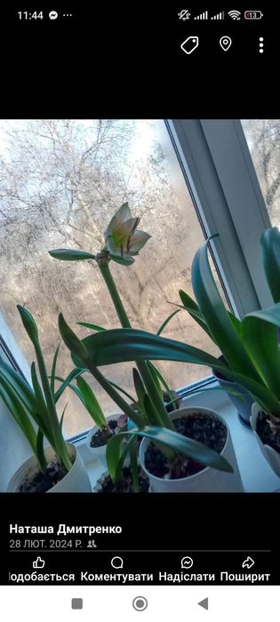 Продам вазони маю 4 кольори