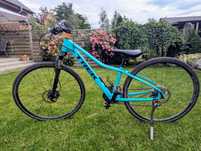 Trek Dual Sport 2 WSD - rower trekkingowy (kobieta)