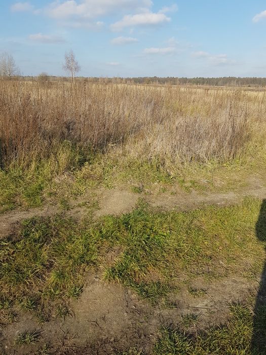 Продается земельный участок в  районе  села Лука  Житомирск района.