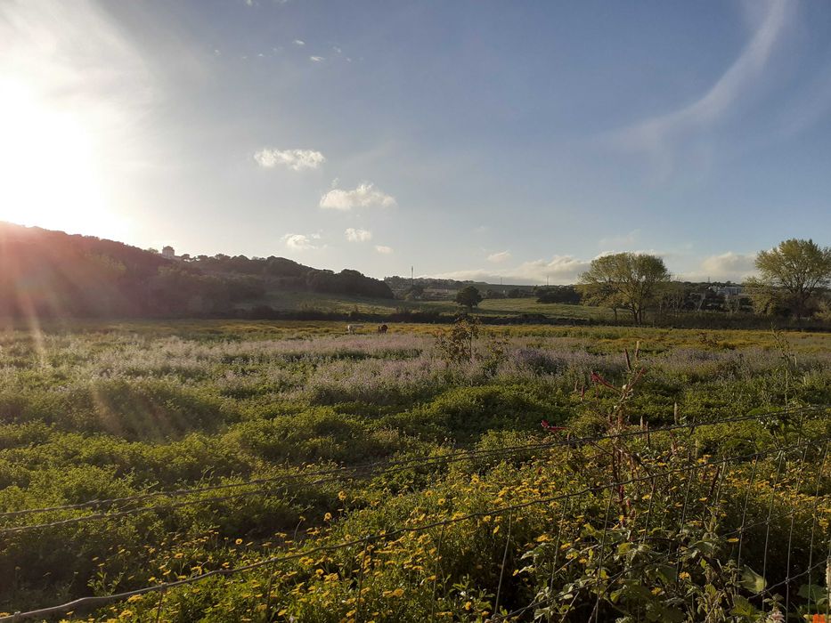 Colar vintage Masai missangas