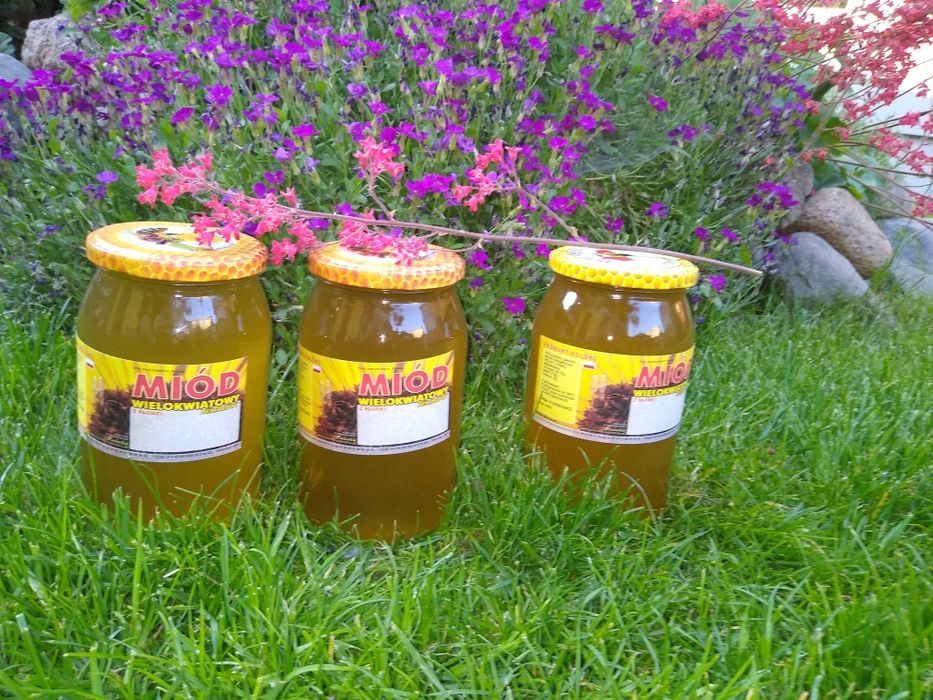 Miód naturalny wiosenny 0,9l