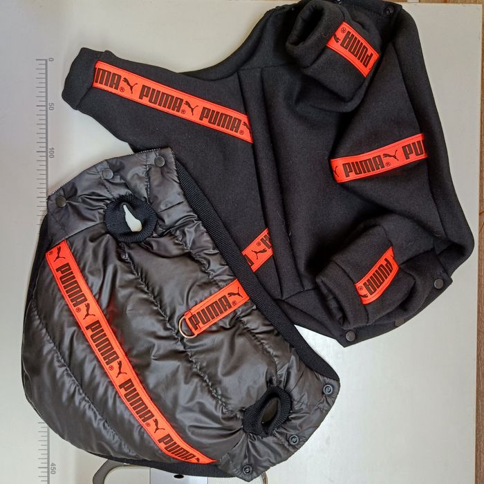 Тёплая одежда для собак.Спортианый костюм , жилетка,кепка.Теплий одяг