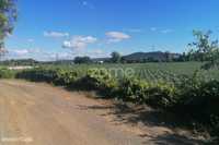 Terreno agrícola com 3.300 M2 em Fradelos-Famalicão