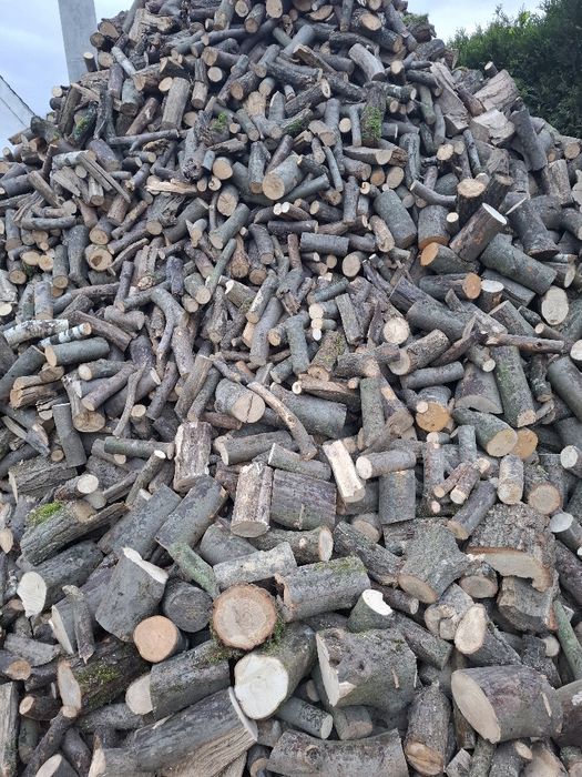 Drewno Suche opał kominkowe gałęziówka transport Gratis