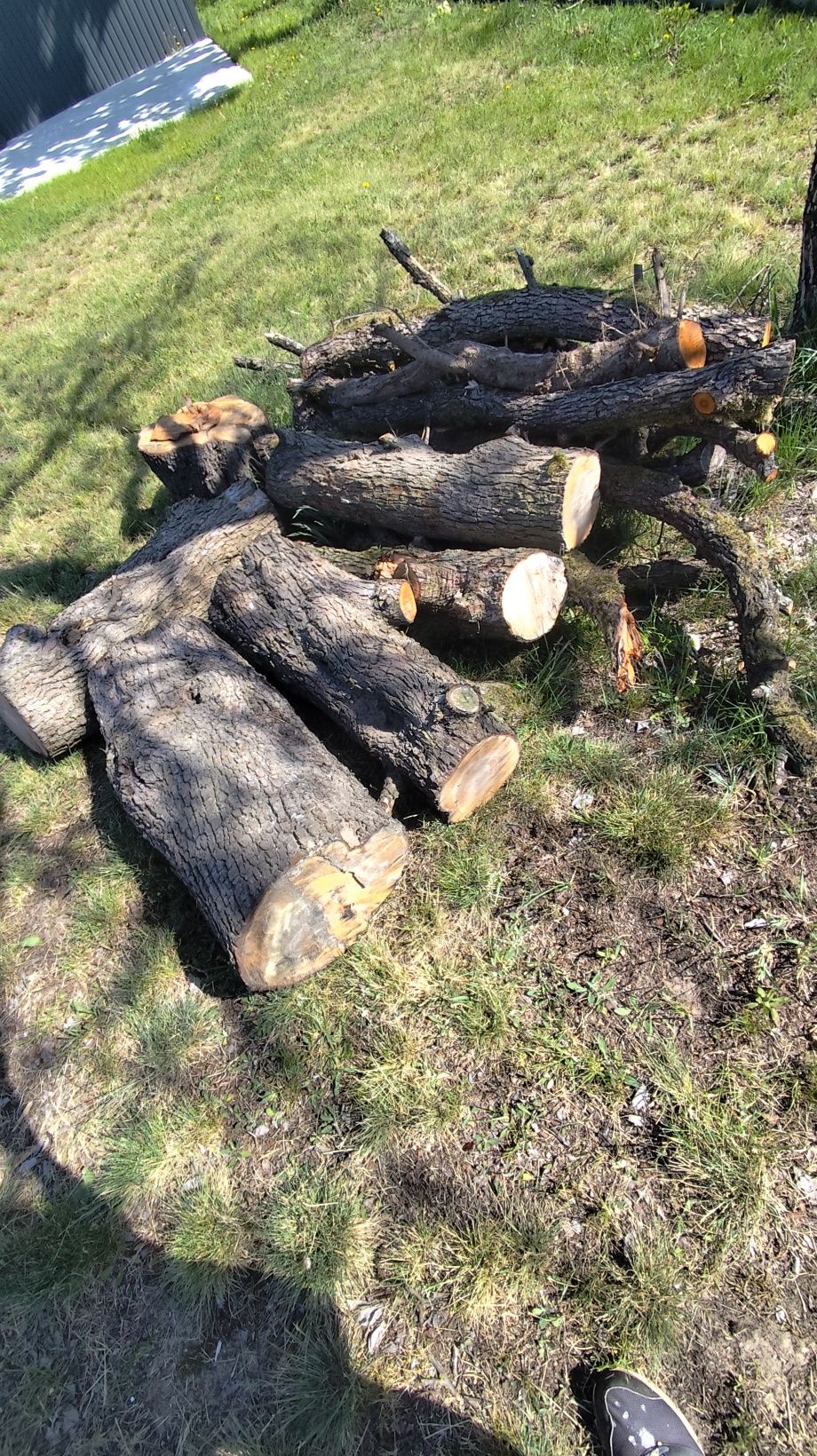 Drzewo na opał, gruszka