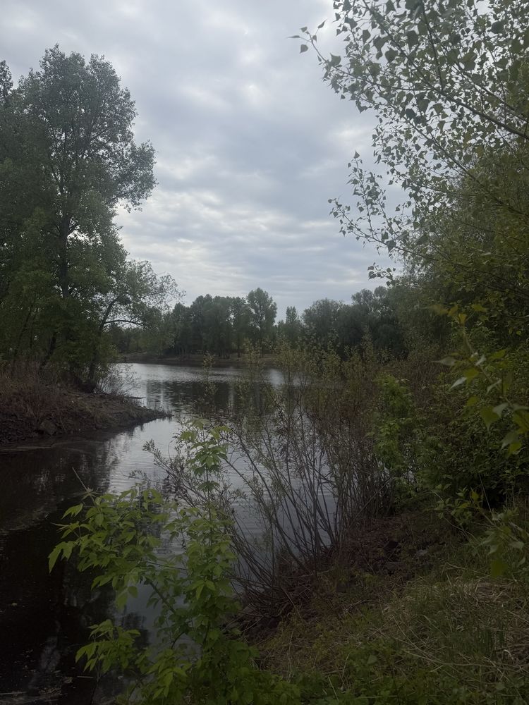 Продажа земельного участка 20соток Вышгородский район с.Осещина ,вода