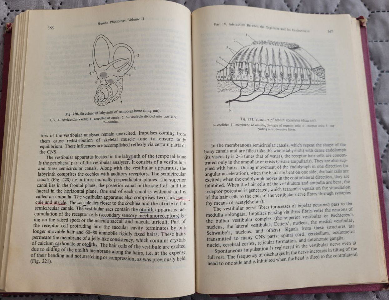 Human Physiology / Фізіологія люлини у 2х томах. G.I.Kositsky.