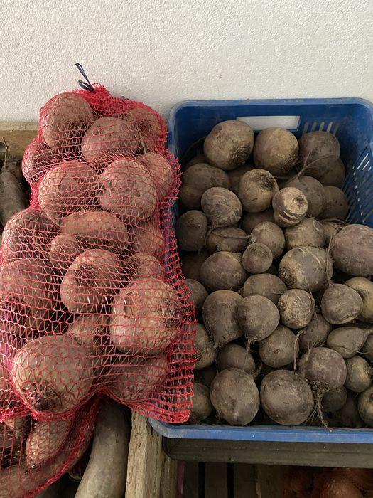 Buraki czerwone,ziemniaki,marchew,pietruszka.