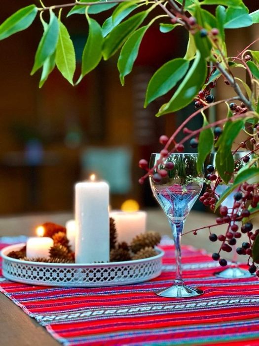 Wynajmę domek w otulinie lasu (klimatyzowany)