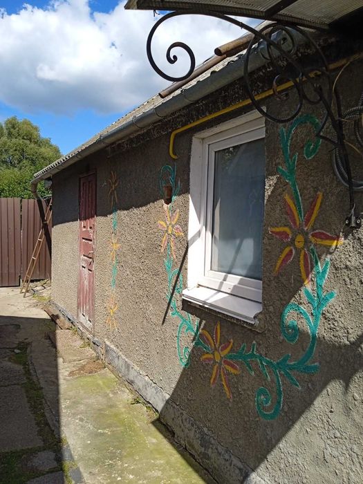 Продам будинок і земельну ділянку в Оліївці (8 км від Житомира).