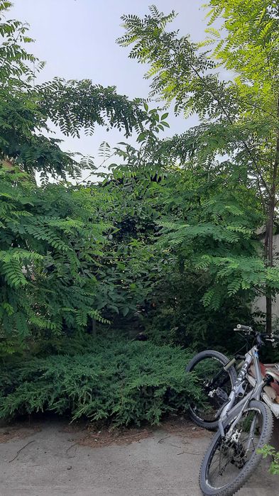 СРОЧНАЯ ПРОДАЖА. Дом 2 этажа, цокольный, Зеленый, Шевченковский