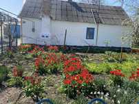 Продам будинок в центрі