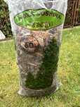 kora sosnowa 60L