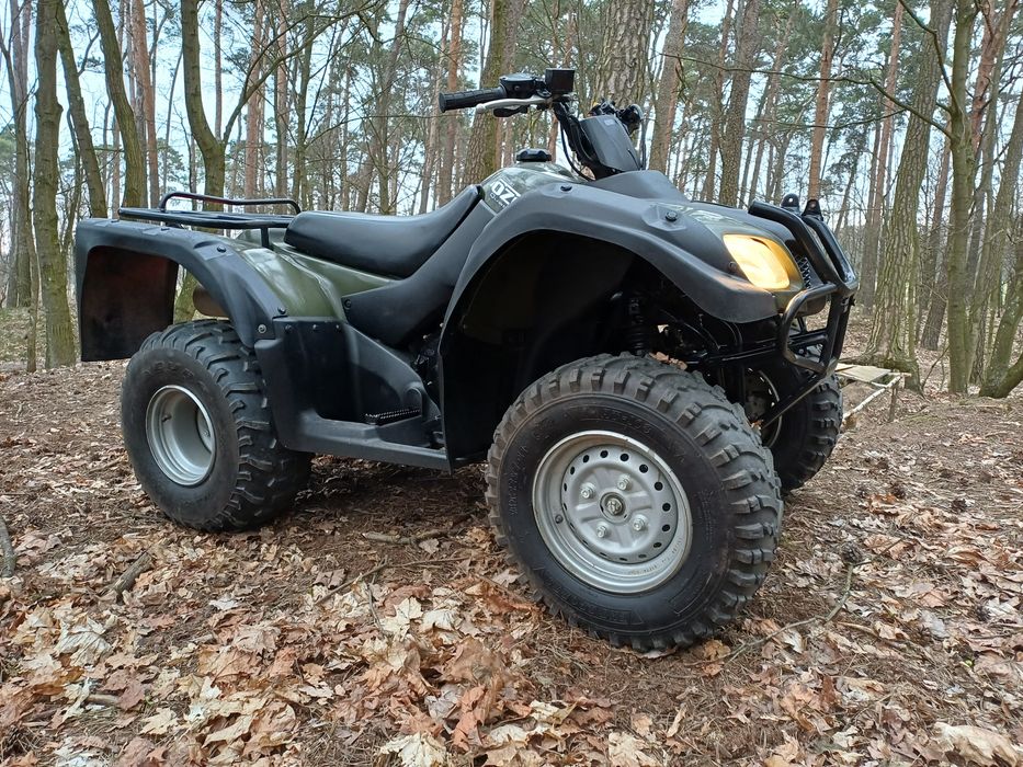 Quad Suzuki Ozark 250 Rocznik 2018