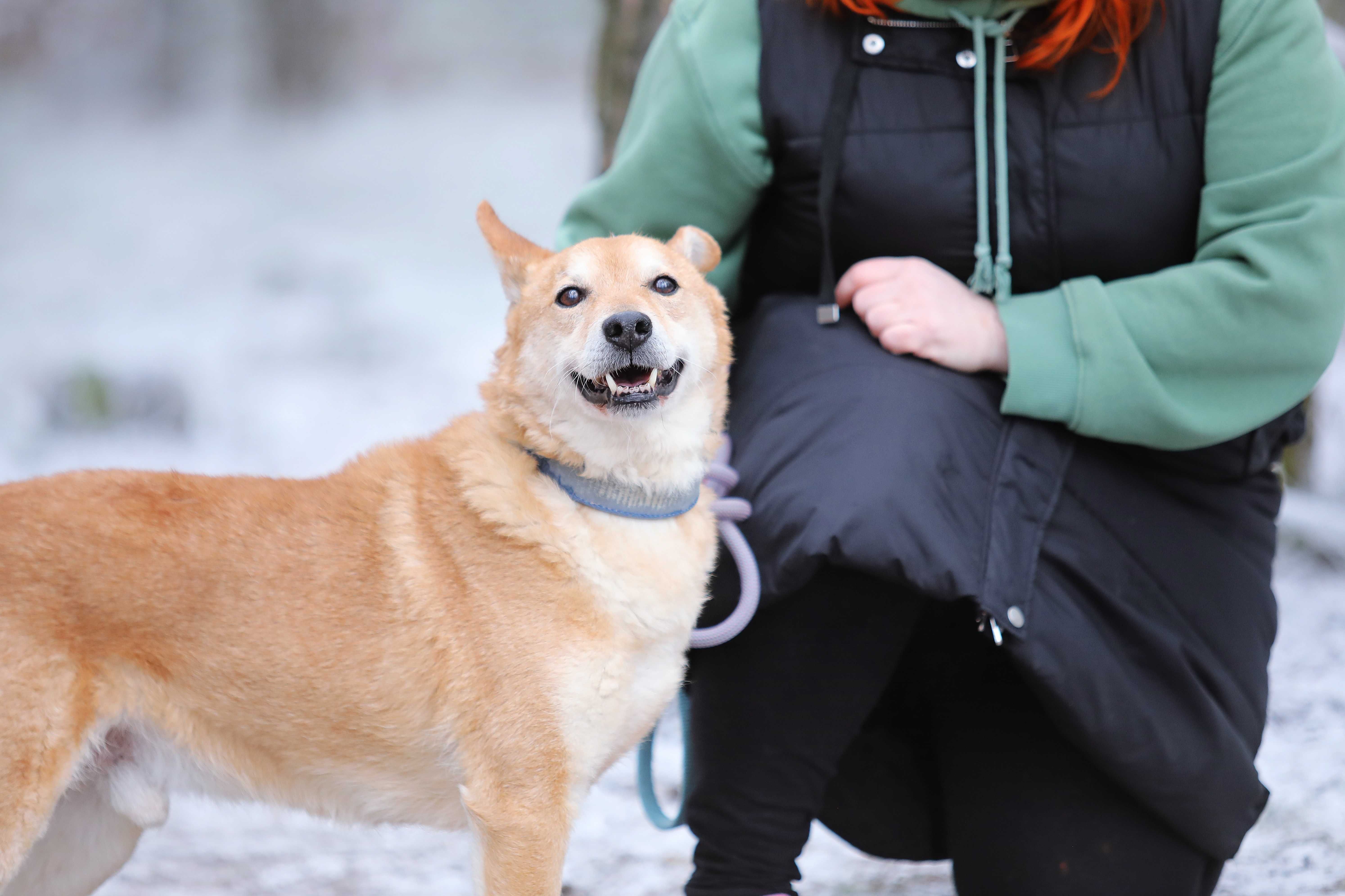 Adoptuj cudownego Hugo !