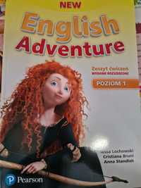 NEW ENGLISH ADVENTURE 1 ACTIVITY Book wyd rozszerzone dvd